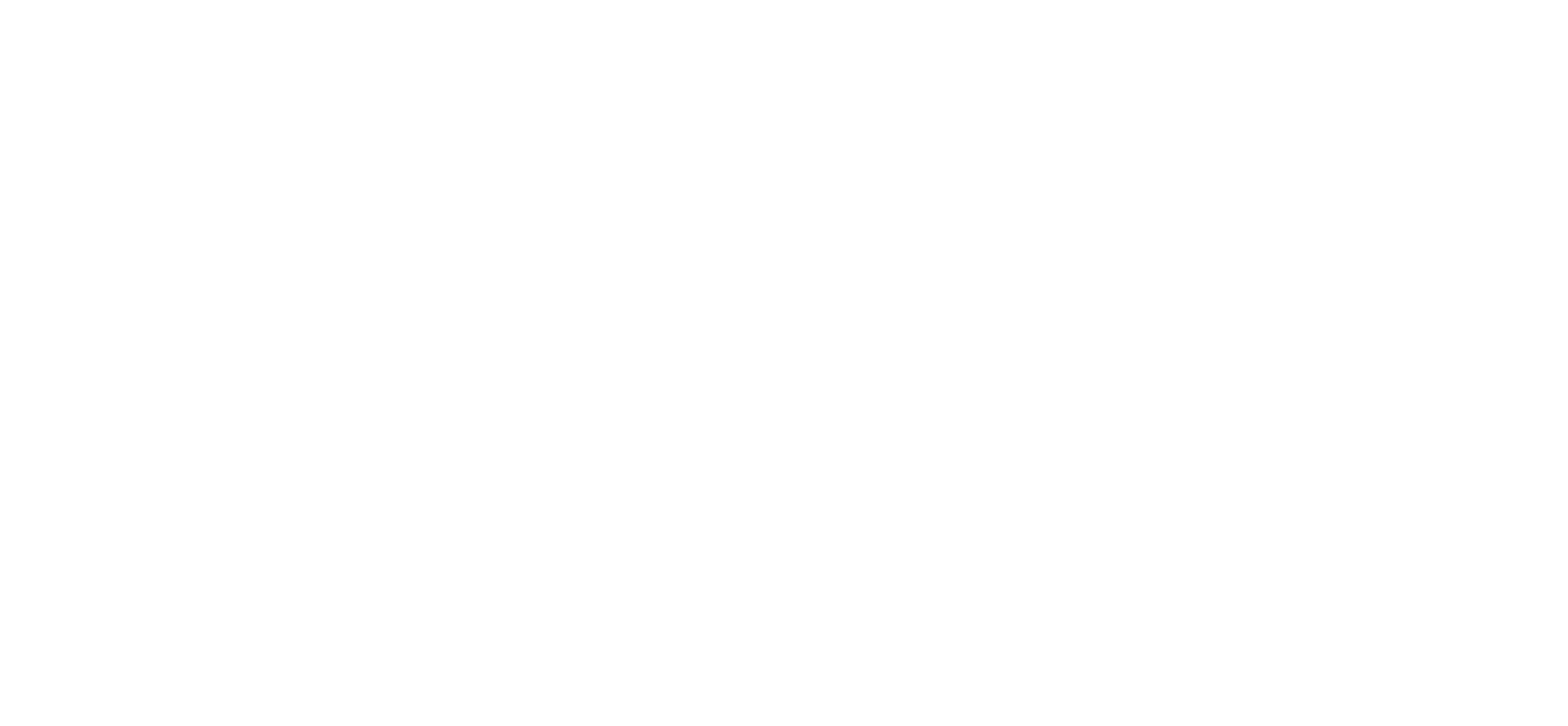 Zelle-logo-white